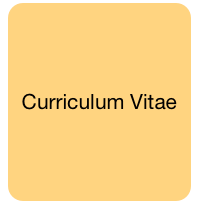 Curriculum Vitae